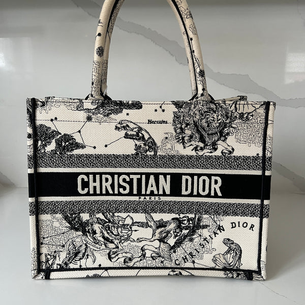 Christian Dior Book Tote