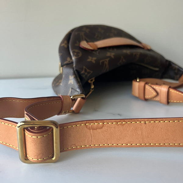 Louis Vuitton Bumbag