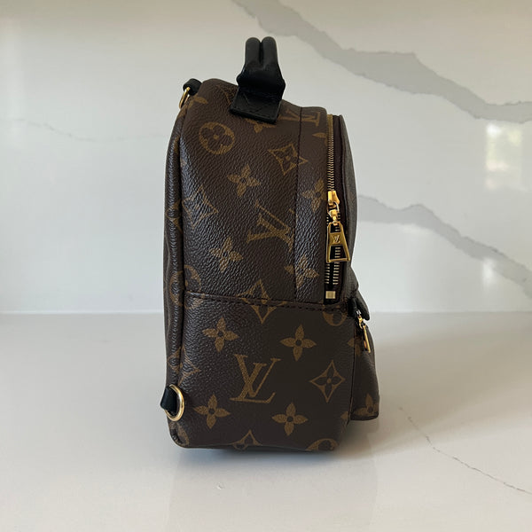 Louis Vuitton Palm Springs Mini