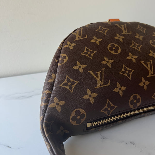 Louis Vuitton Bumbag
