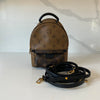 Louis Vuitton  Reverse Monogram Palm Springs Backpack Mini