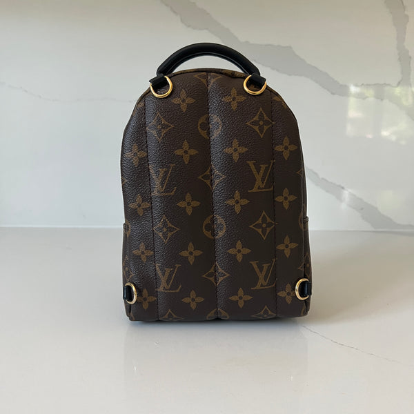 Louis Vuitton Palm Springs Mini