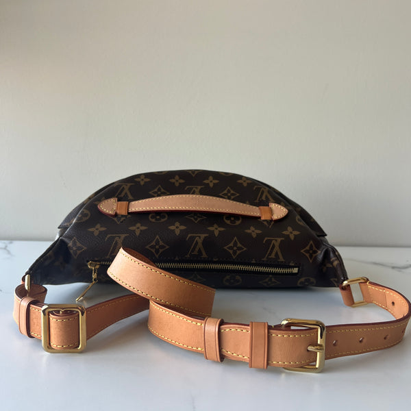 Louis Vuitton Bumbag