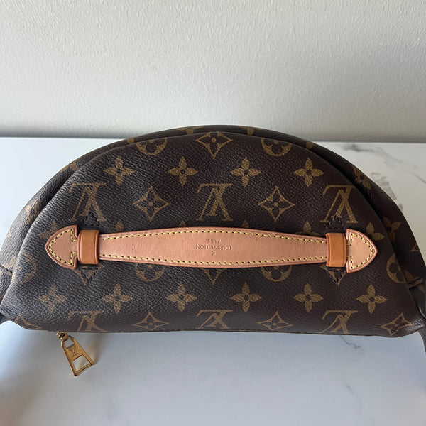 Louis Vuitton Bumbag