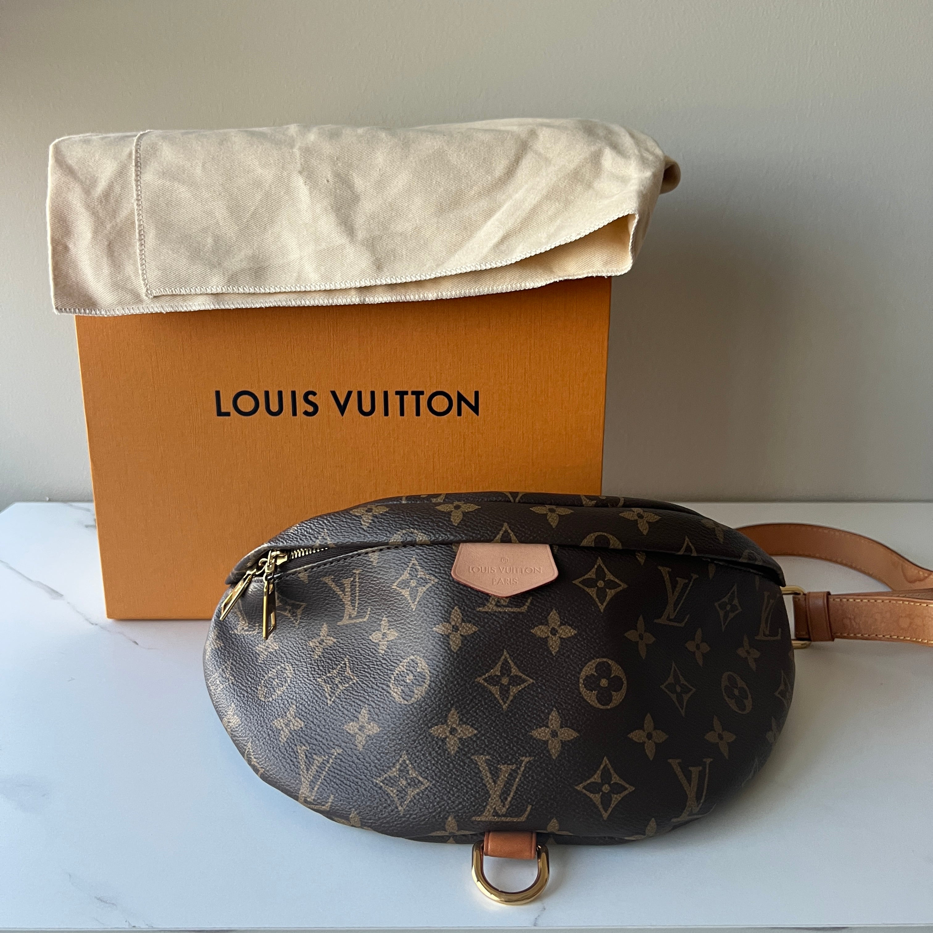 Louis Vuitton Bumbag