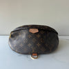 Louis Vuitton Bumbag