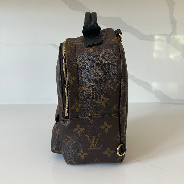 Louis Vuitton Palm Springs Mini