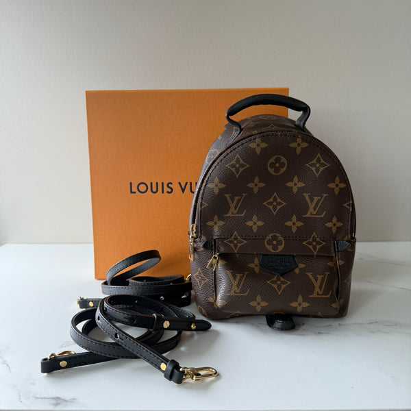 Louis Vuitton Palm Springs Mini