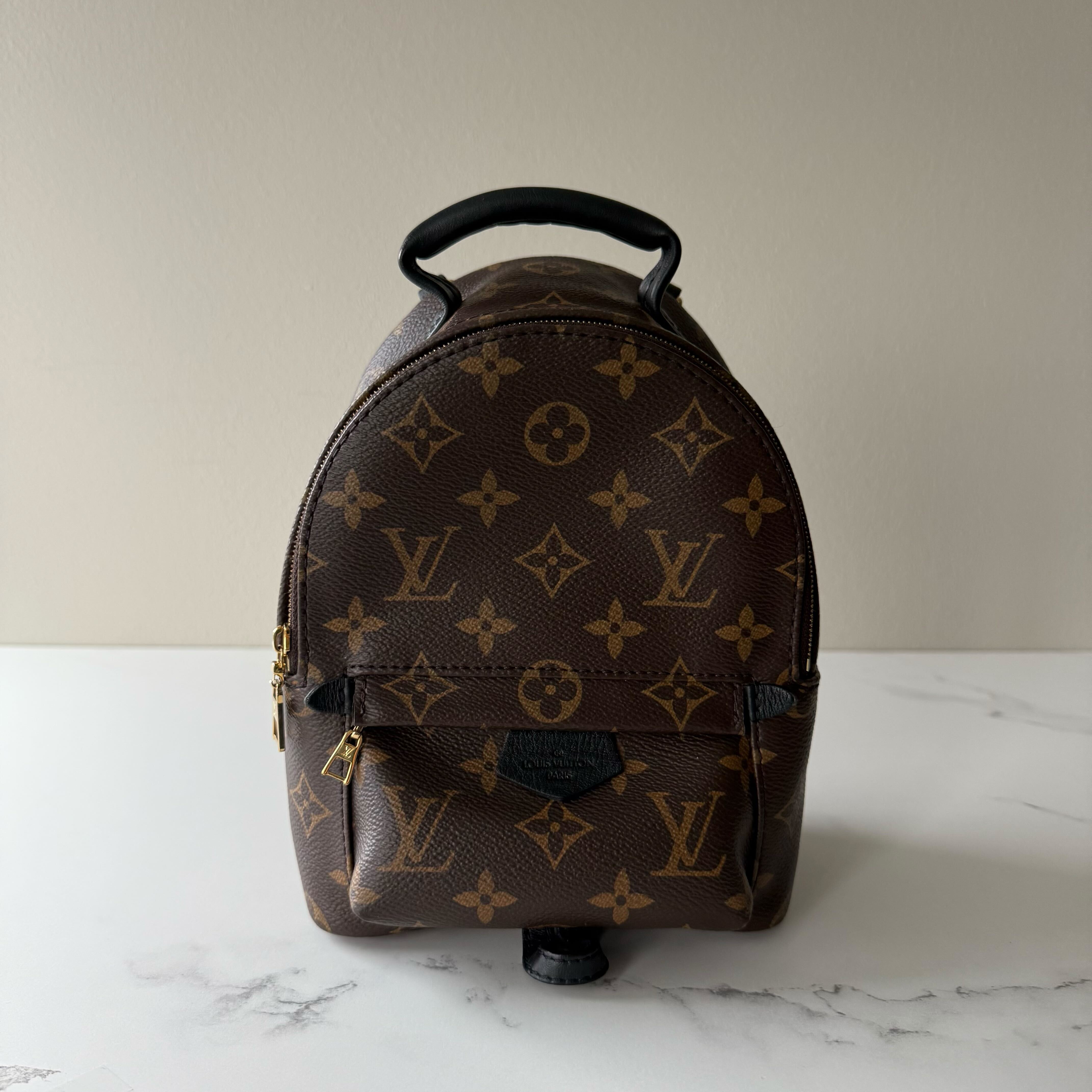 Louis Vuitton Palm Springs Mini