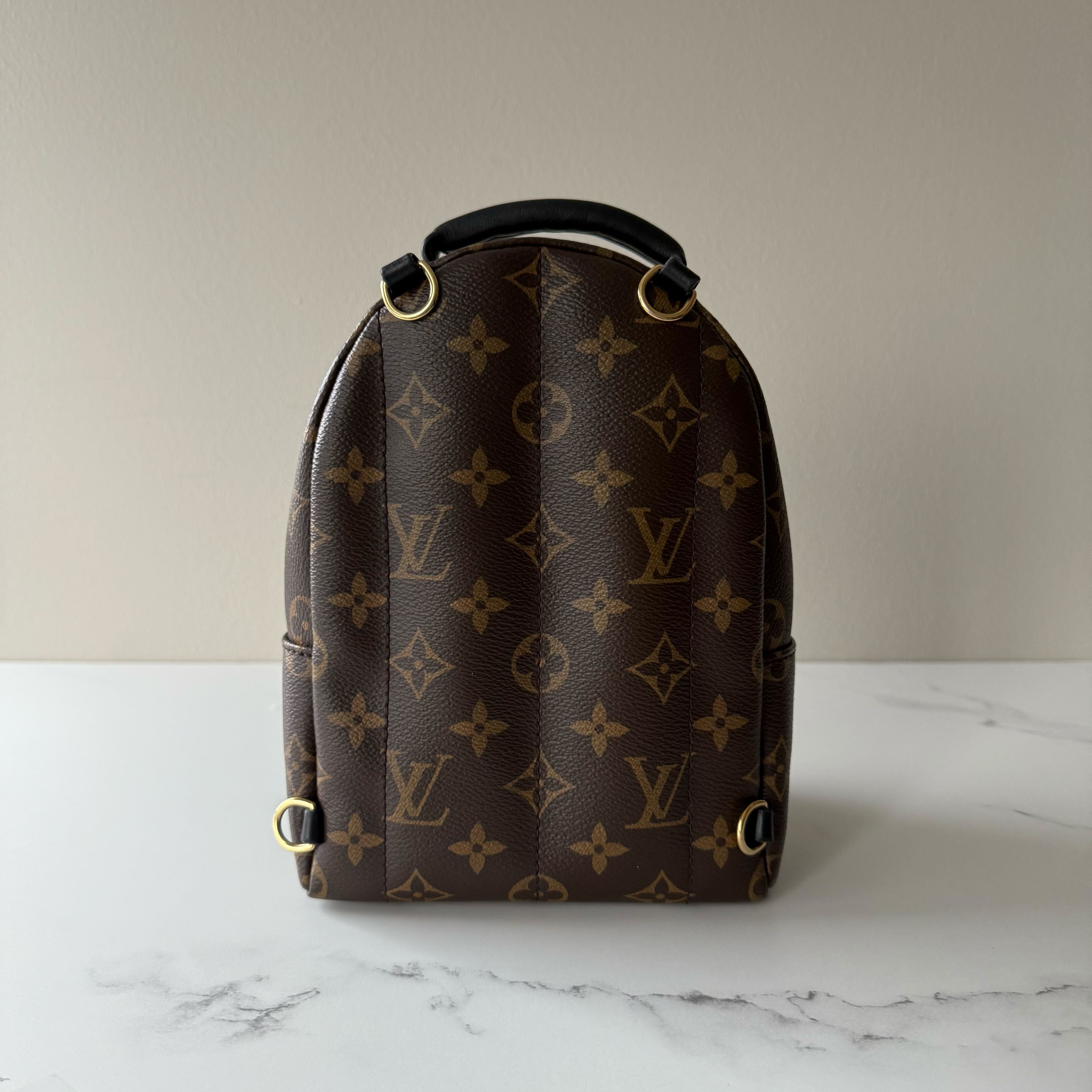 Louis Vuitton Palm Springs Mini