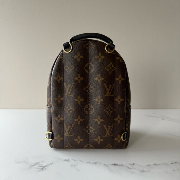 Louis Vuitton Palm Springs Mini