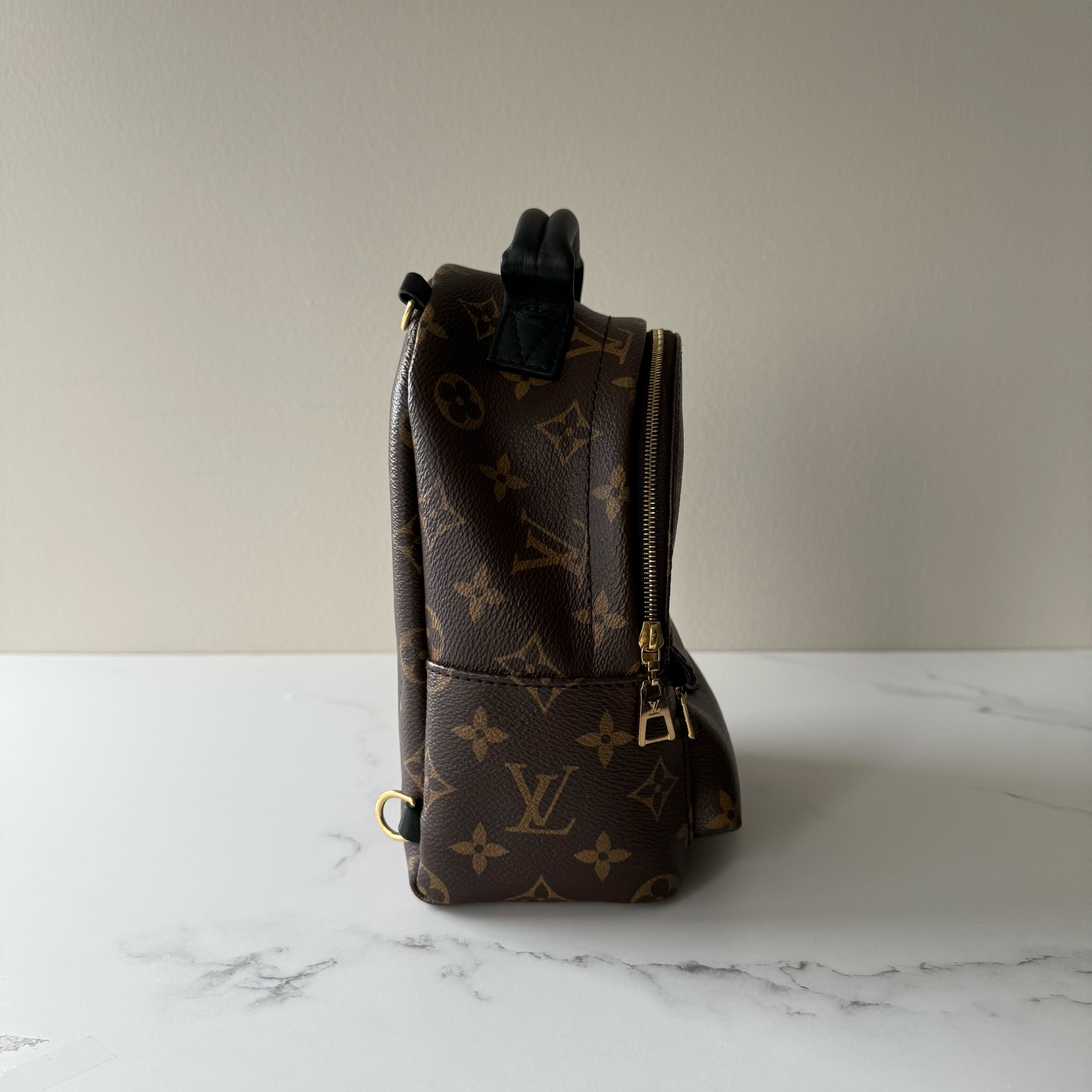Louis Vuitton Palm Springs Mini