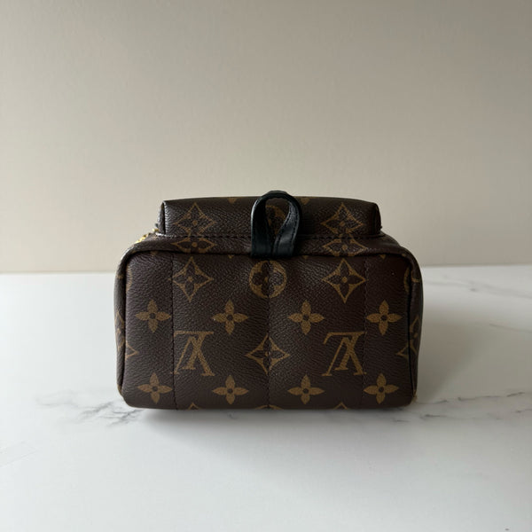 Louis Vuitton Palm Springs Mini