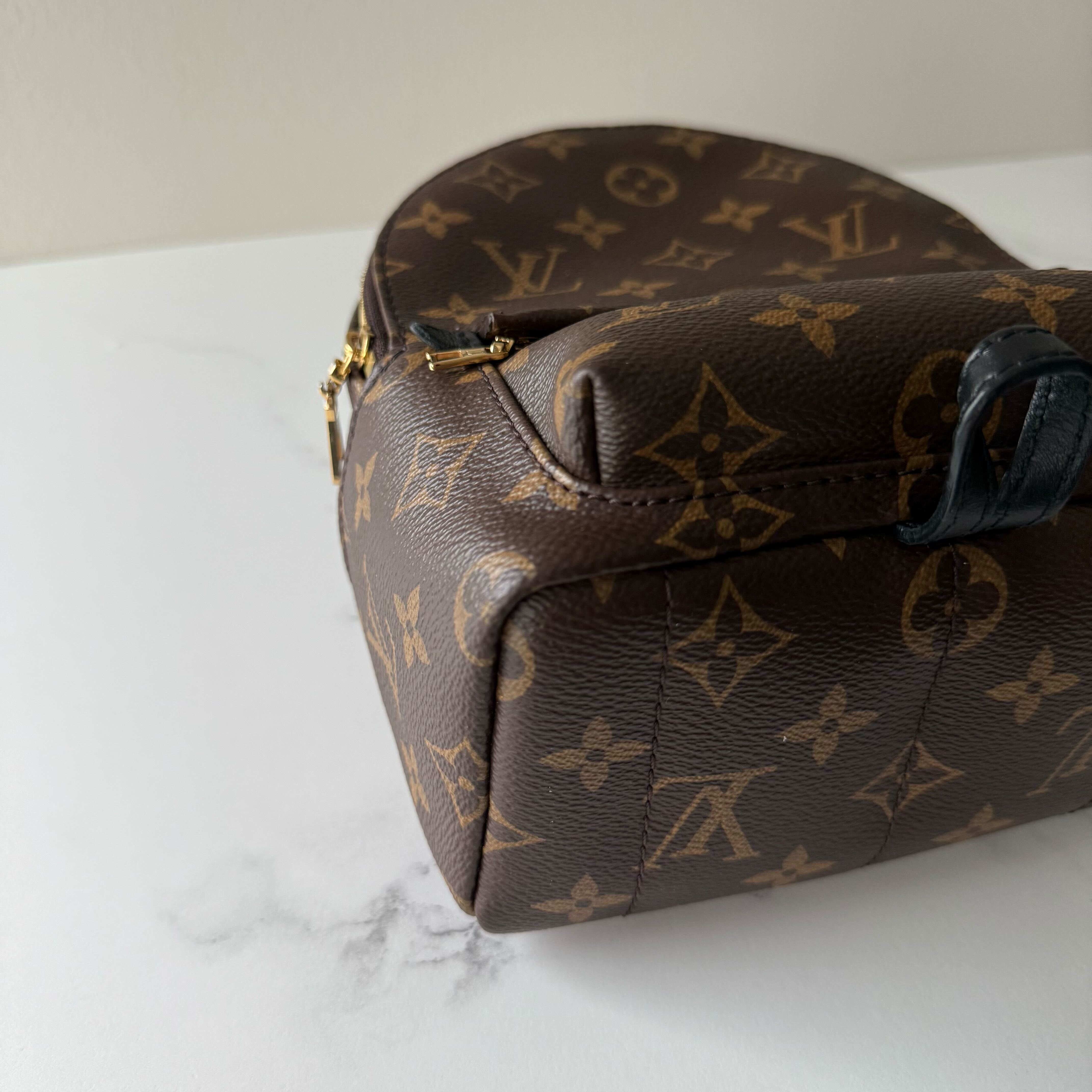 Louis Vuitton Palm Springs Mini