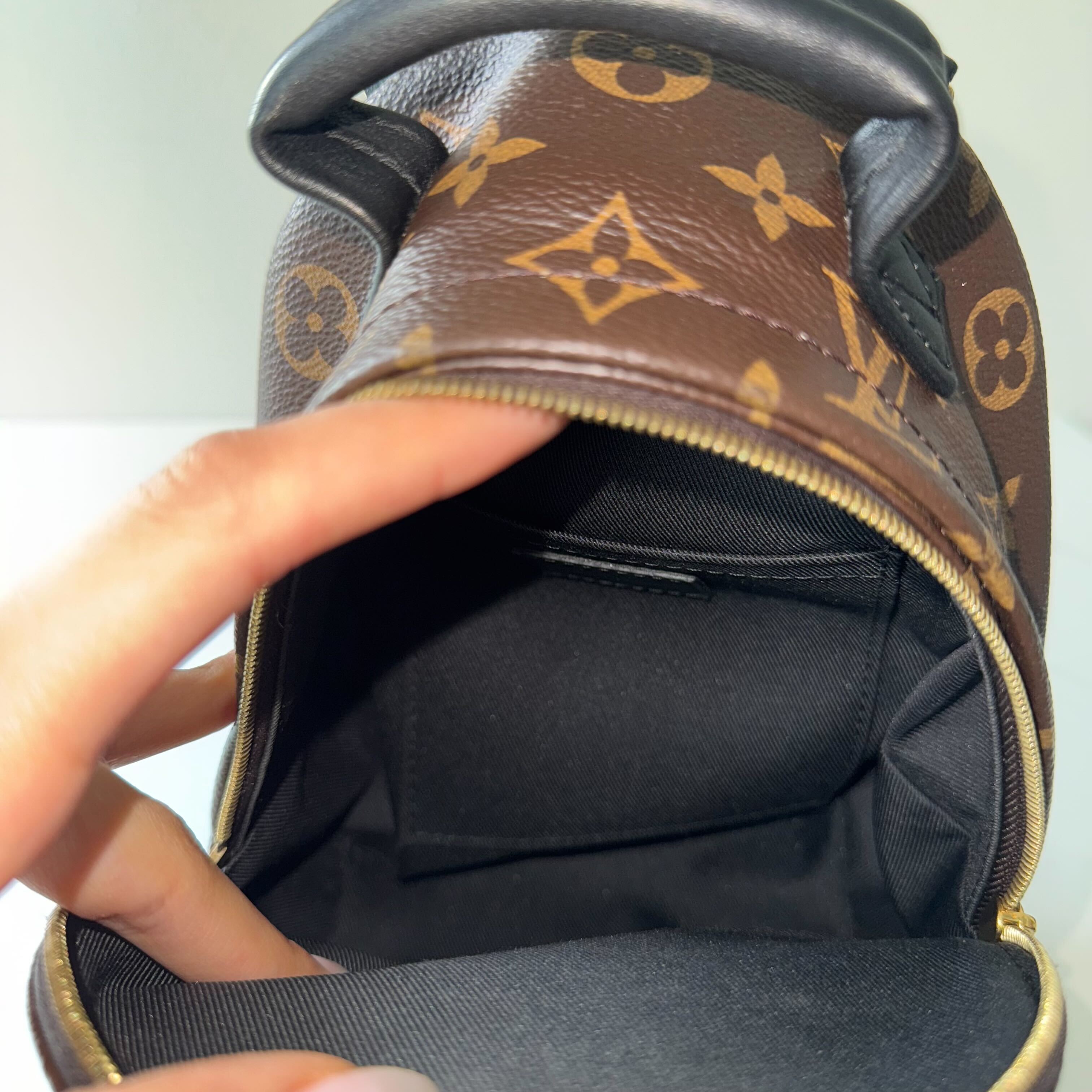 Louis Vuitton Palm Springs Mini