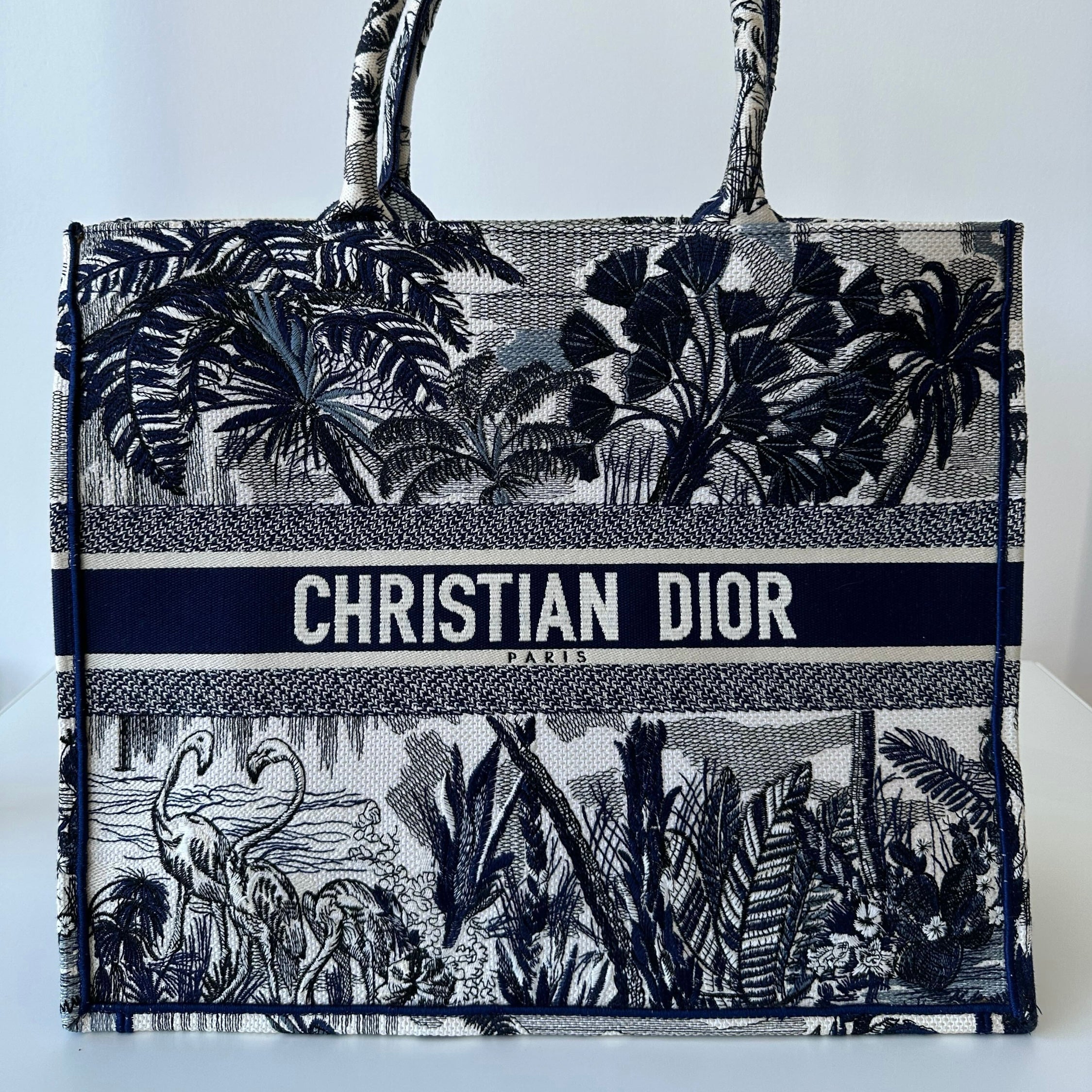 Christian Dior Book Tote