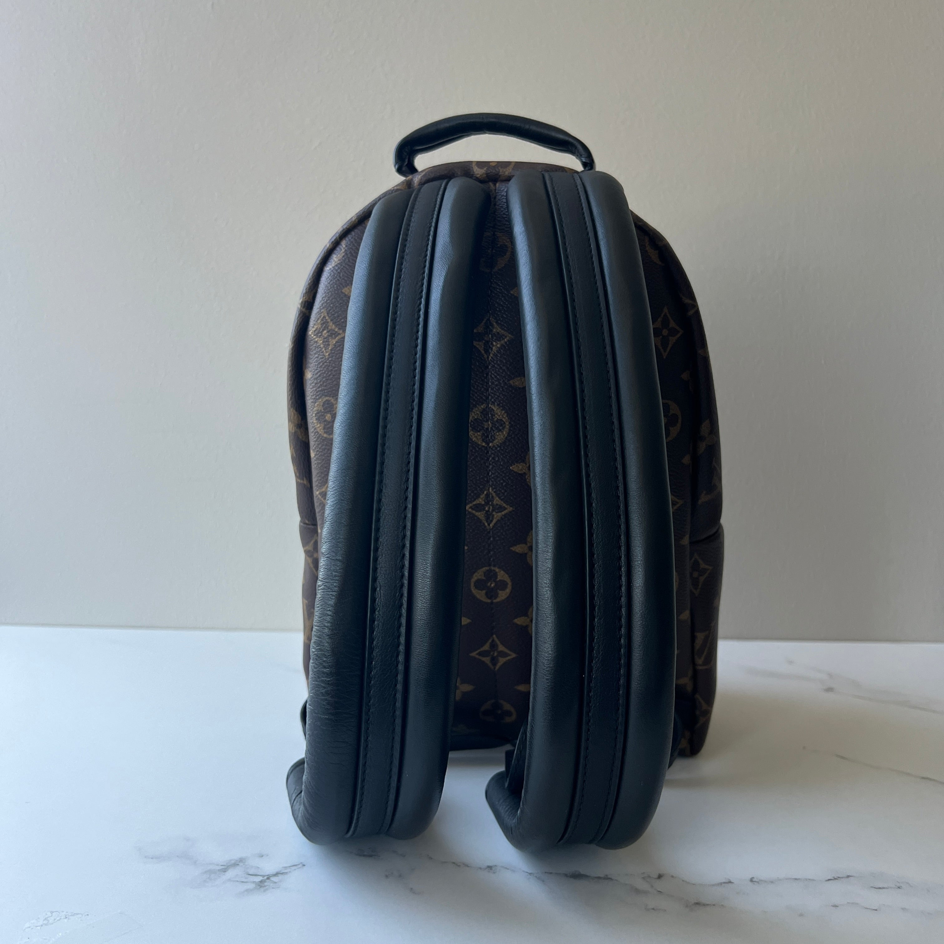 Louis Vuitton Palm Springs PM