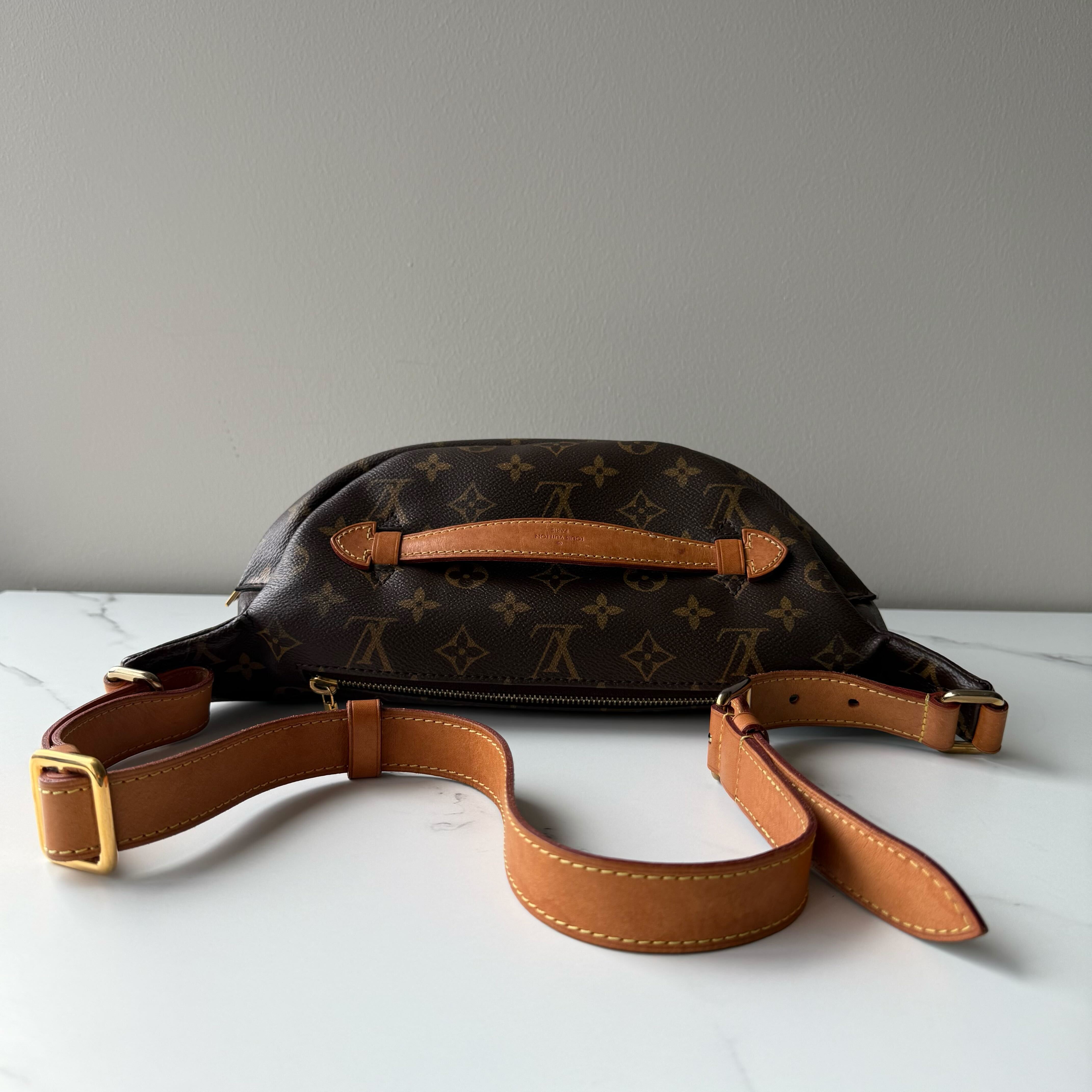 Louis Vuitton Bum Bag