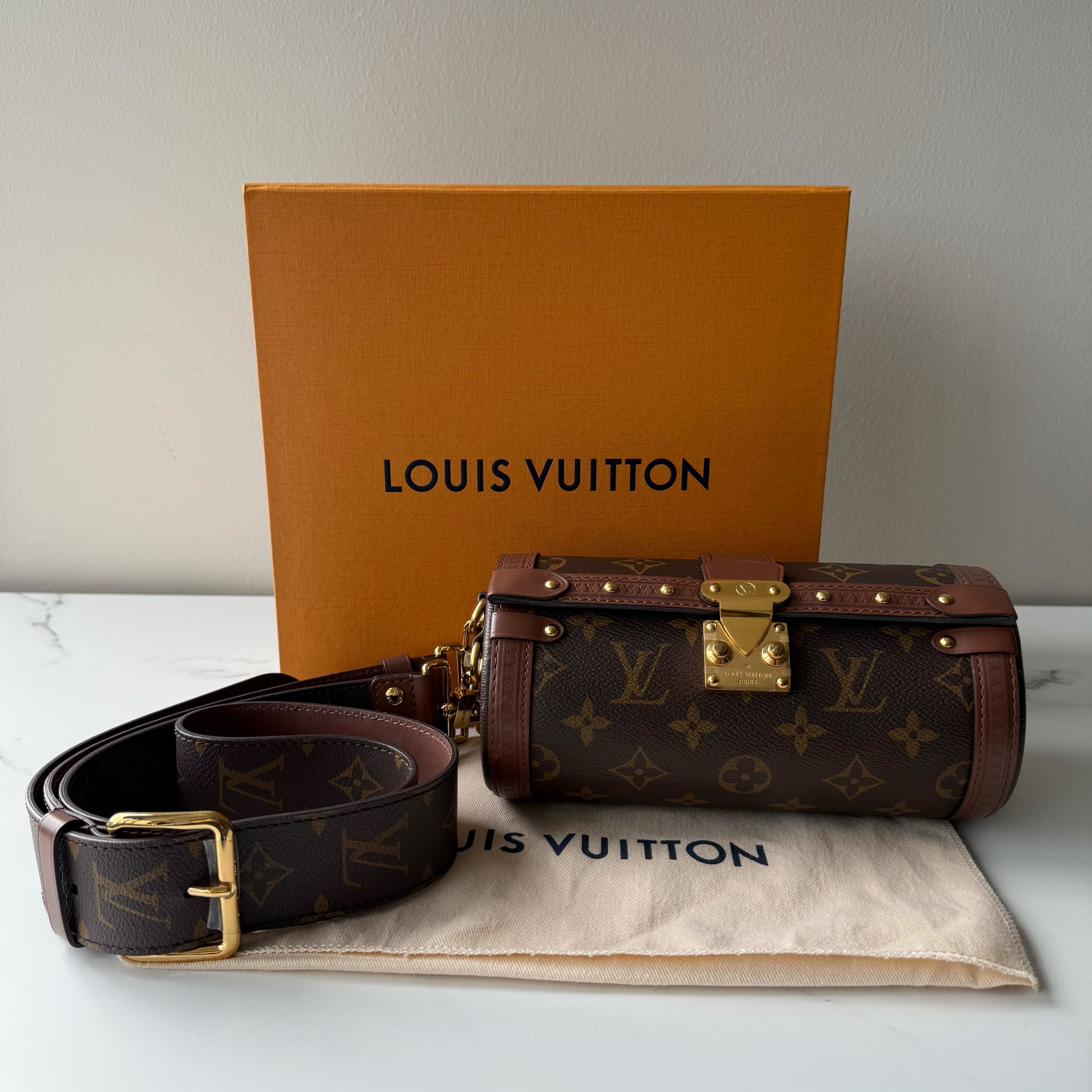 Louis Vuitton Papillon Trunk