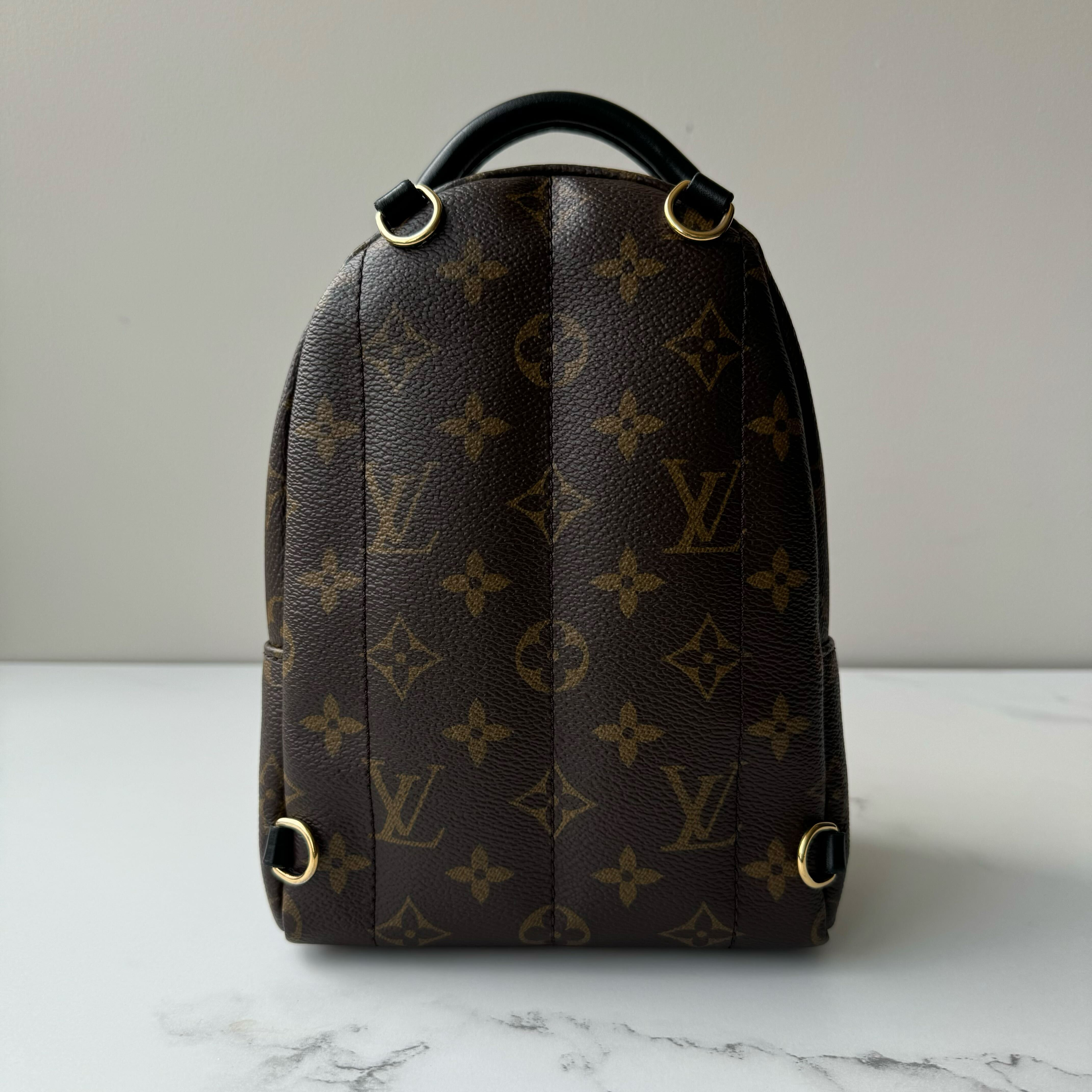 Louis Vuitton Palm Springs Mini