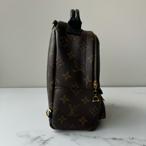 Louis Vuitton Palm Springs Mini