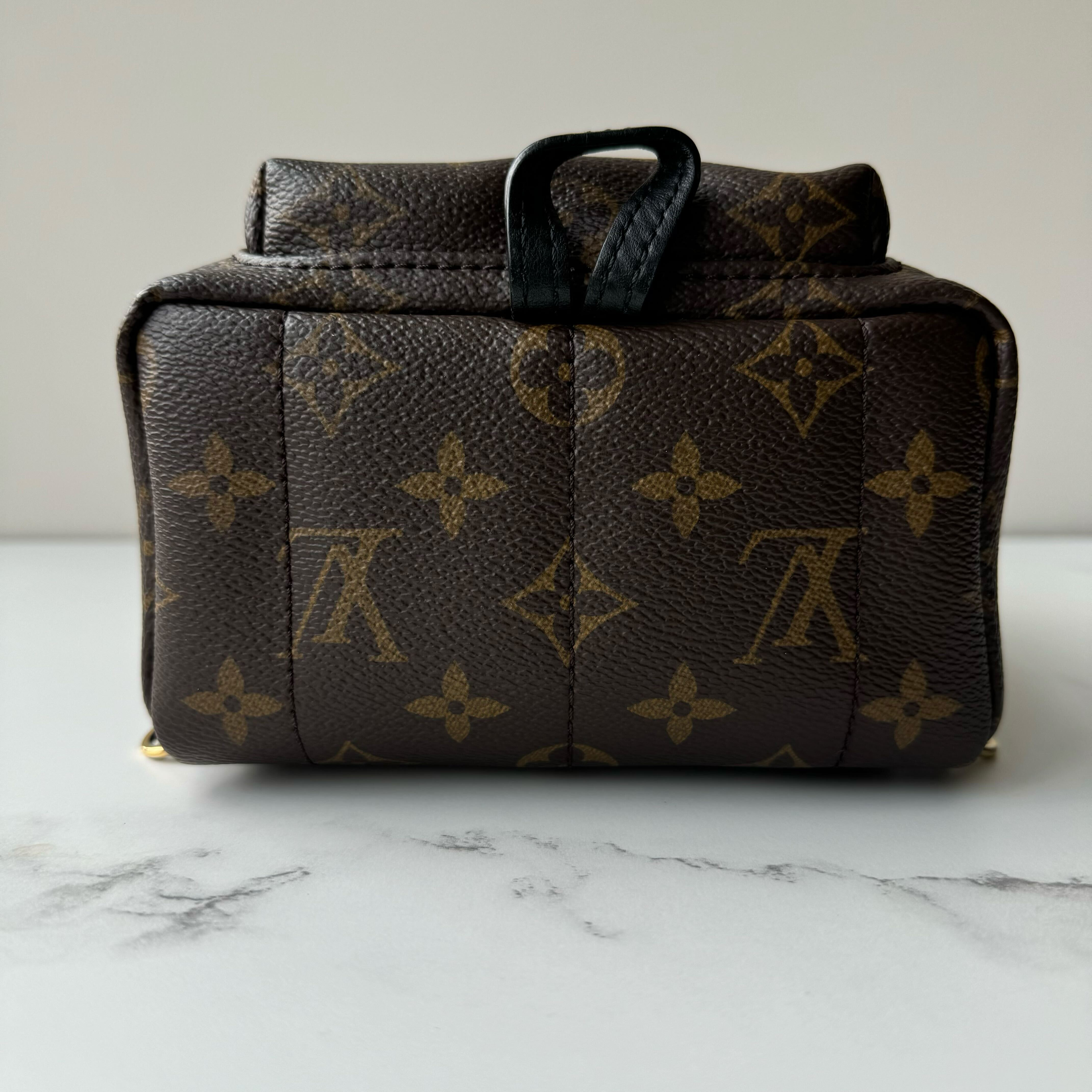 Louis Vuitton Palm Springs Mini