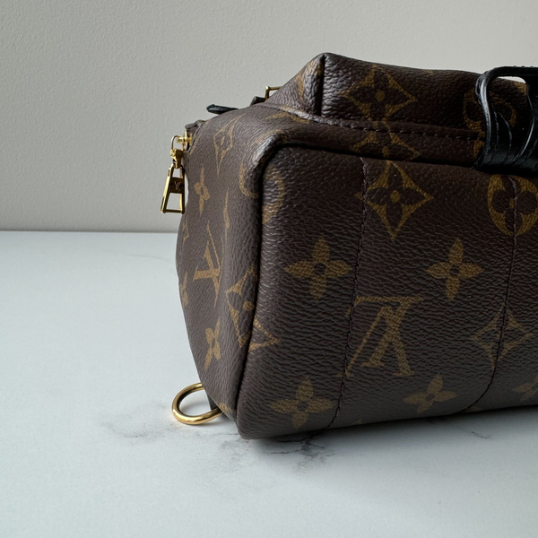 Louis Vuitton Palm Springs Mini