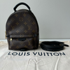 Louis Vuitton Palm Springs Mini