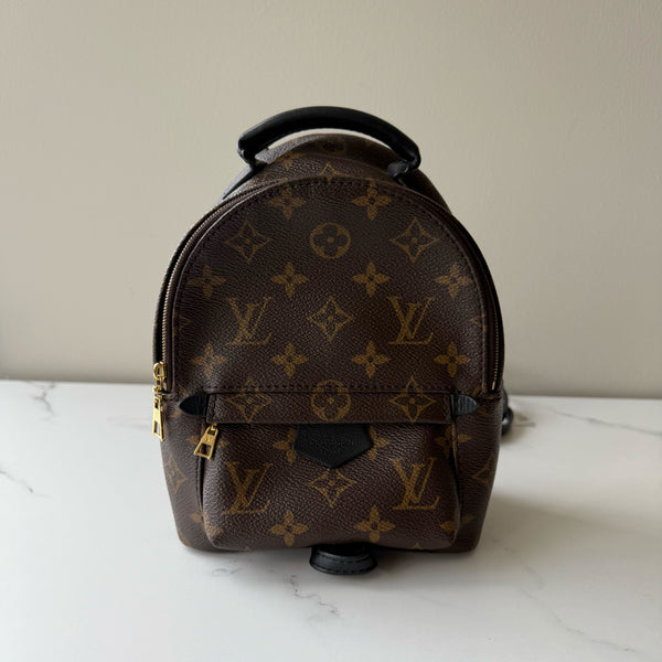 Louis Vuitton Palm Springs Mini