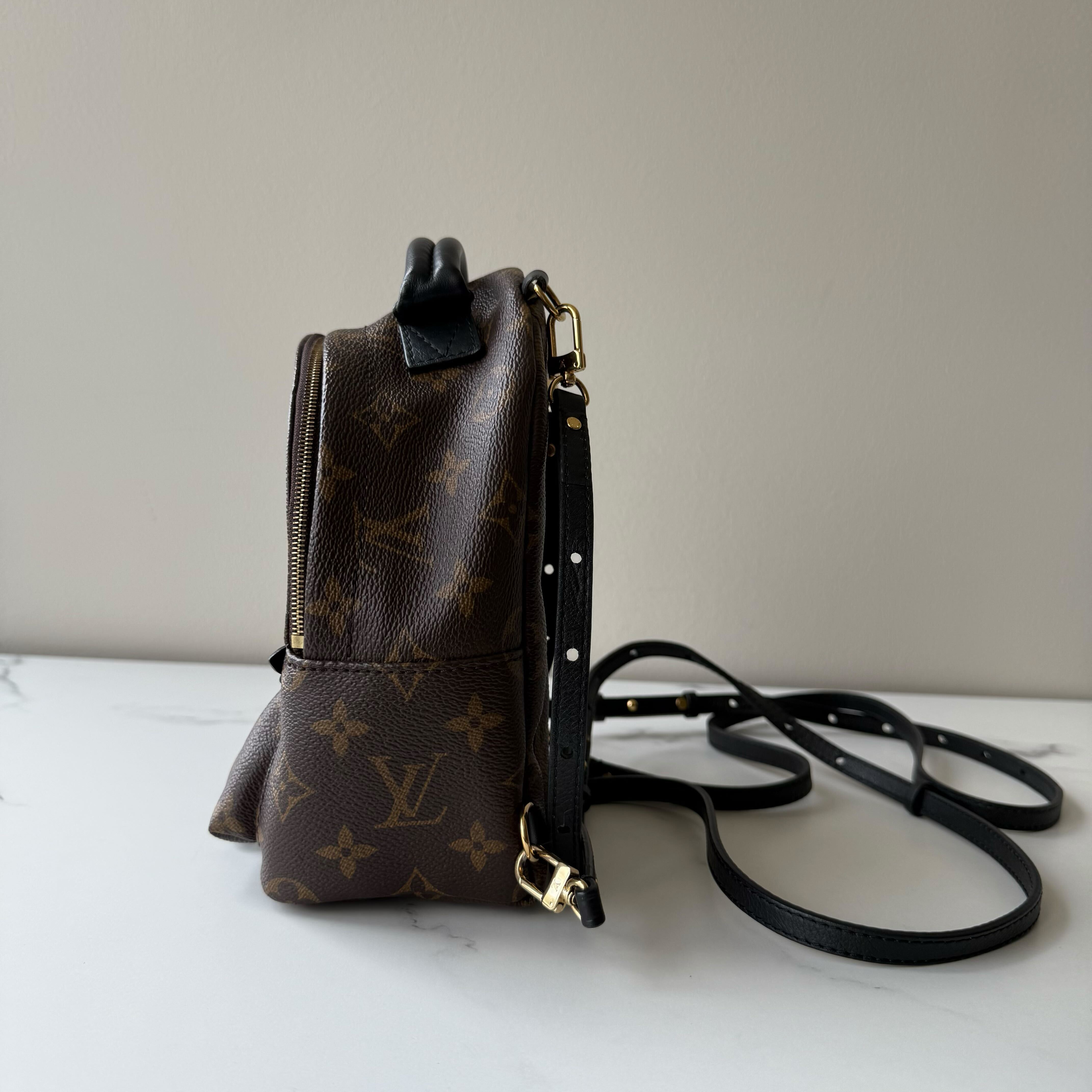 Louis Vuitton Palm Springs Mini