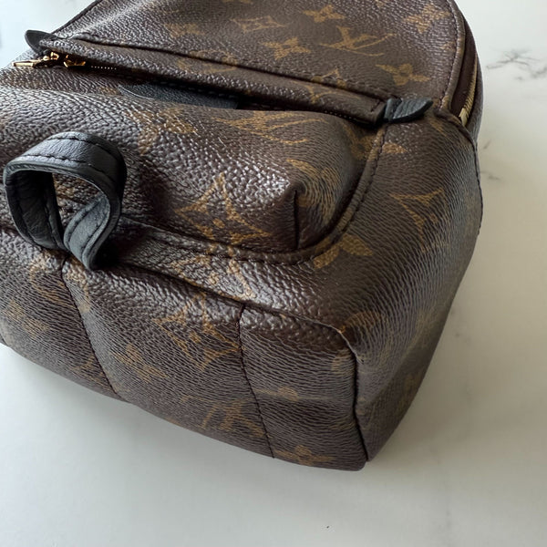 Louis Vuitton Palm Springs Mini