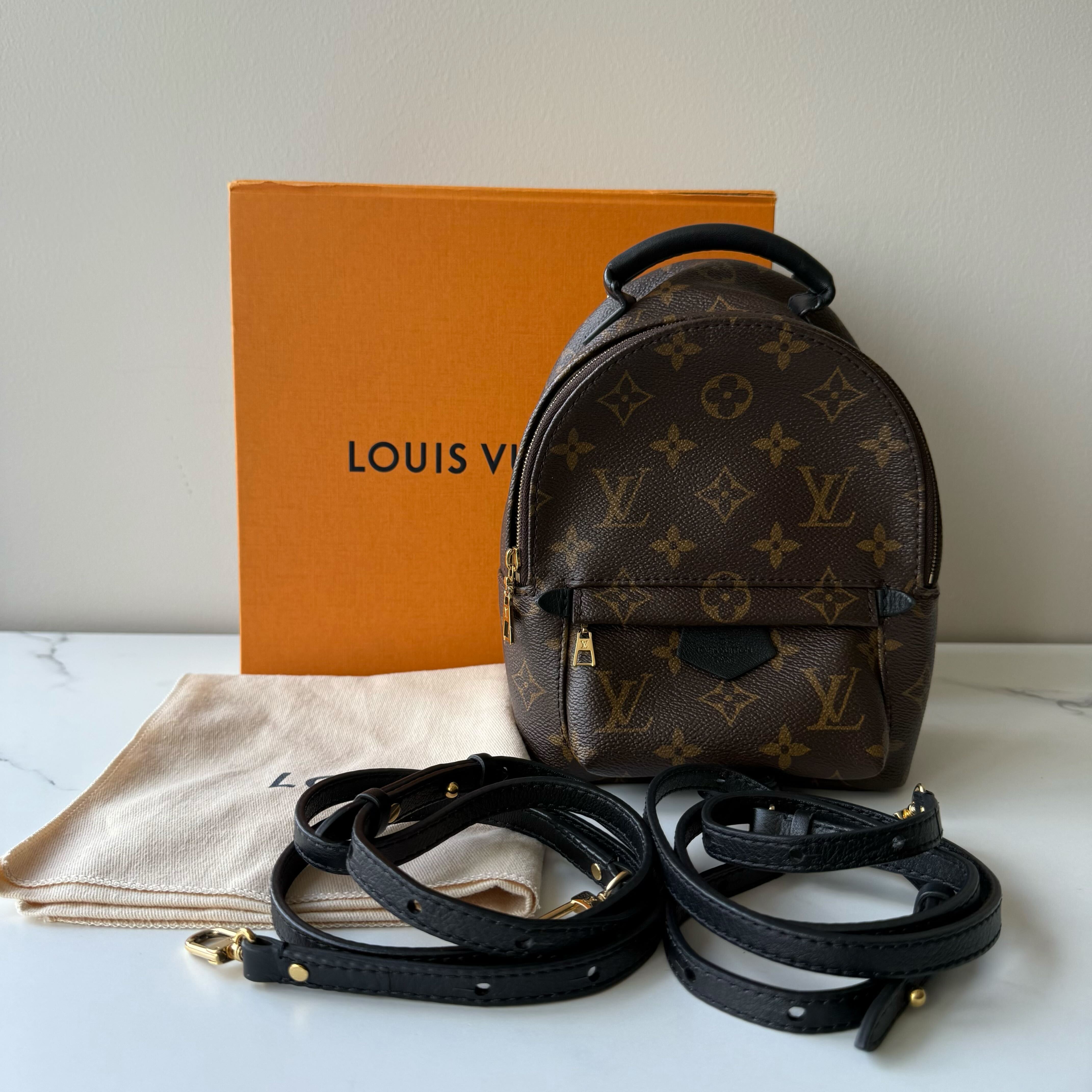 Louis Vuitton Palm Springs Mini