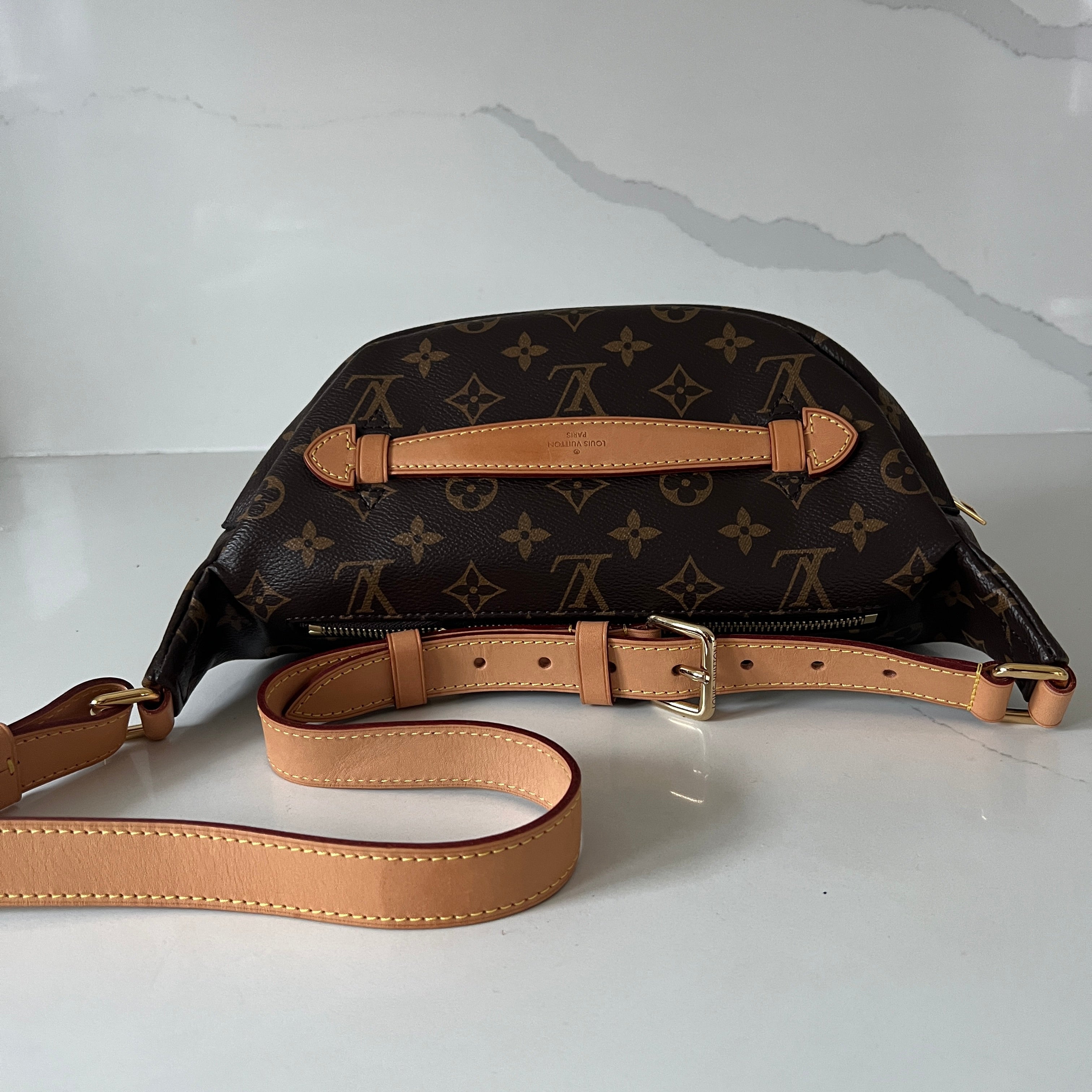 Louis Vuitton Bum Bag