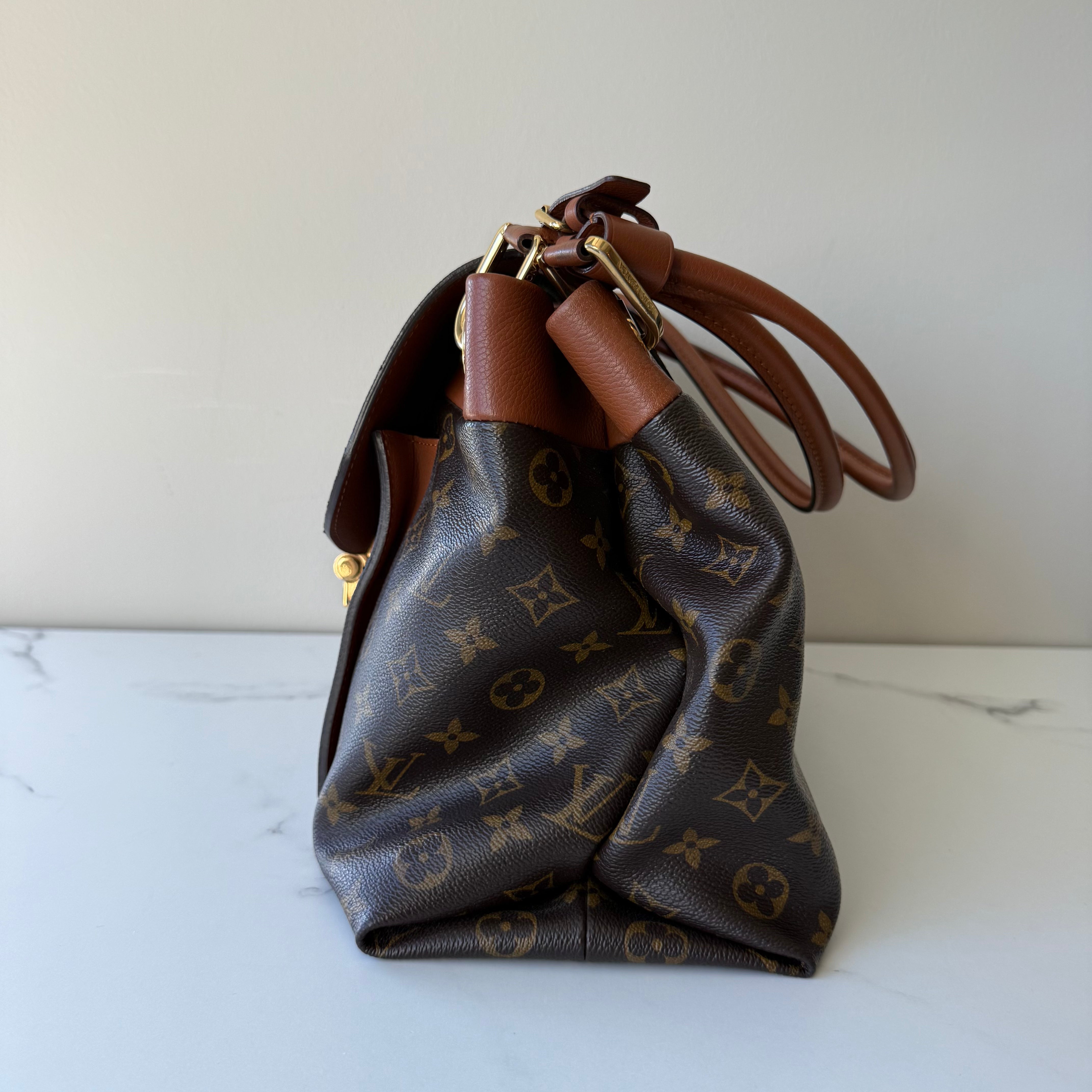 Louis Vuitton Hobo Bag