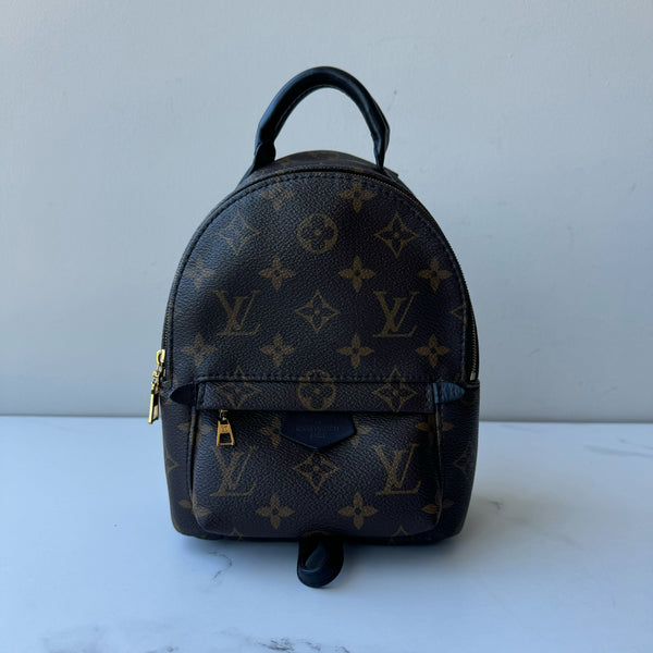 Louis Vuitton Palm Springs Mini