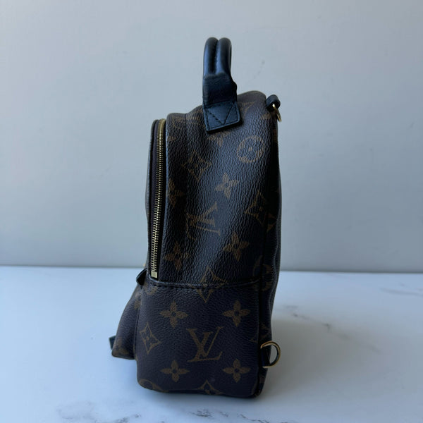 Louis Vuitton Palm Springs Mini