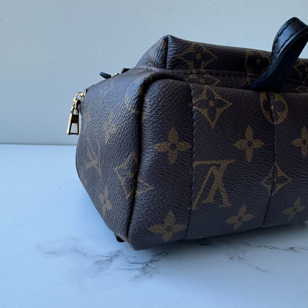 Louis Vuitton Palm Springs Mini