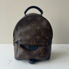 Louis Vuitton Palm Springs Mini