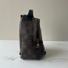 Louis Vuitton Palm Springs Mini