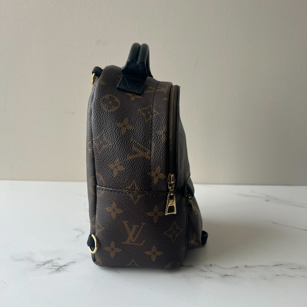 Louis Vuitton Palm Springs Mini