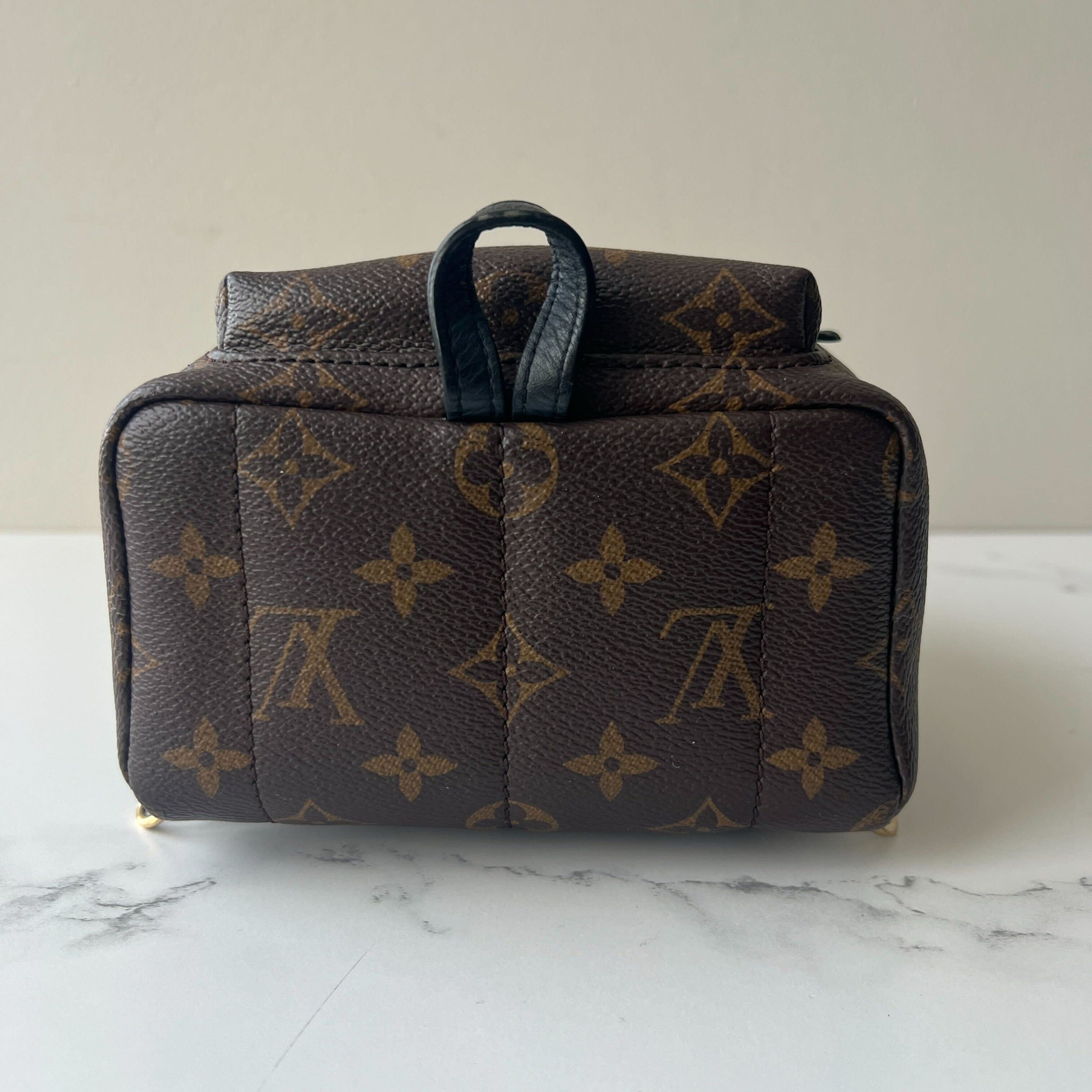 Louis Vuitton Palm Springs Mini