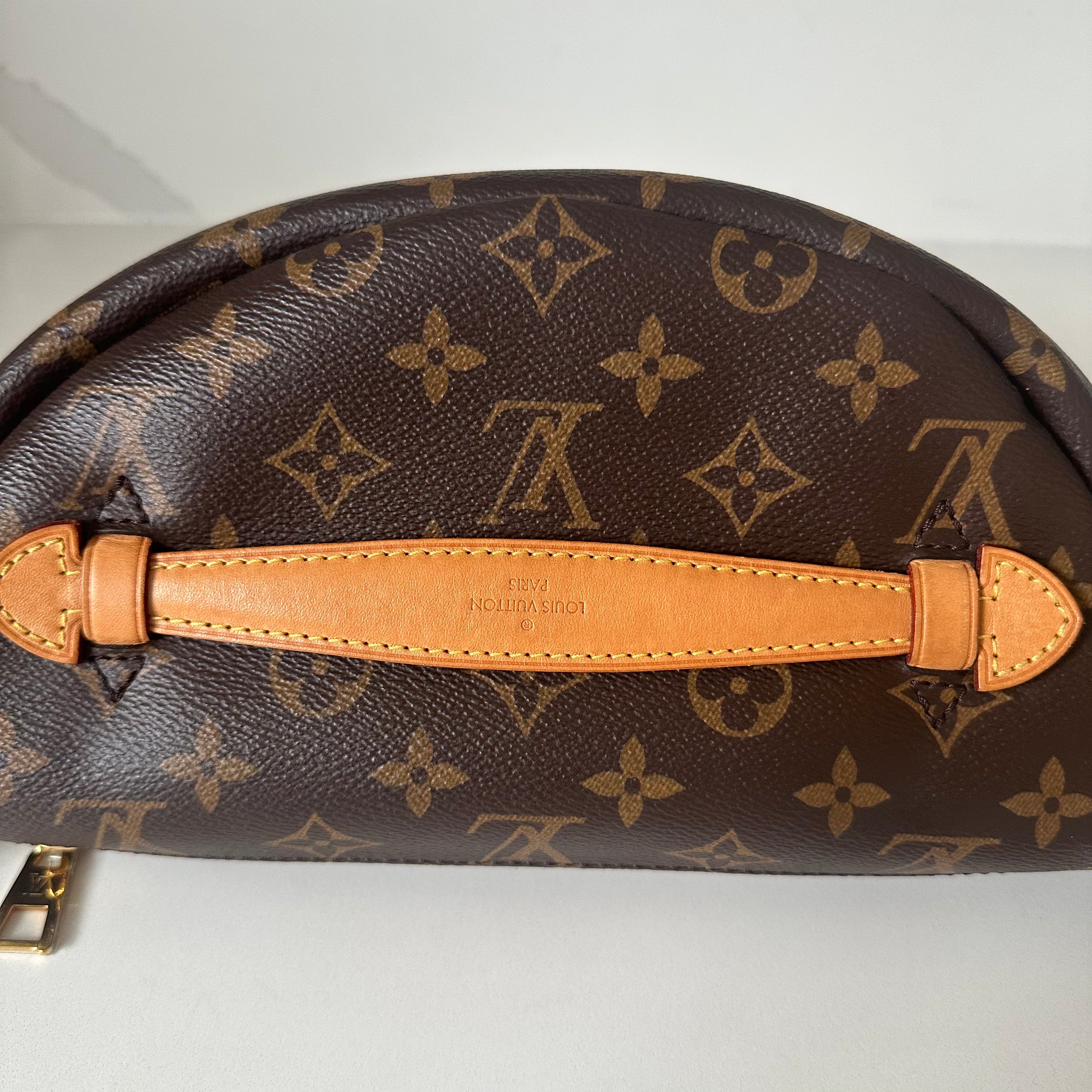 Louis Vuitton Bumbag