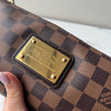 Louis Vuitton Eva Clutch