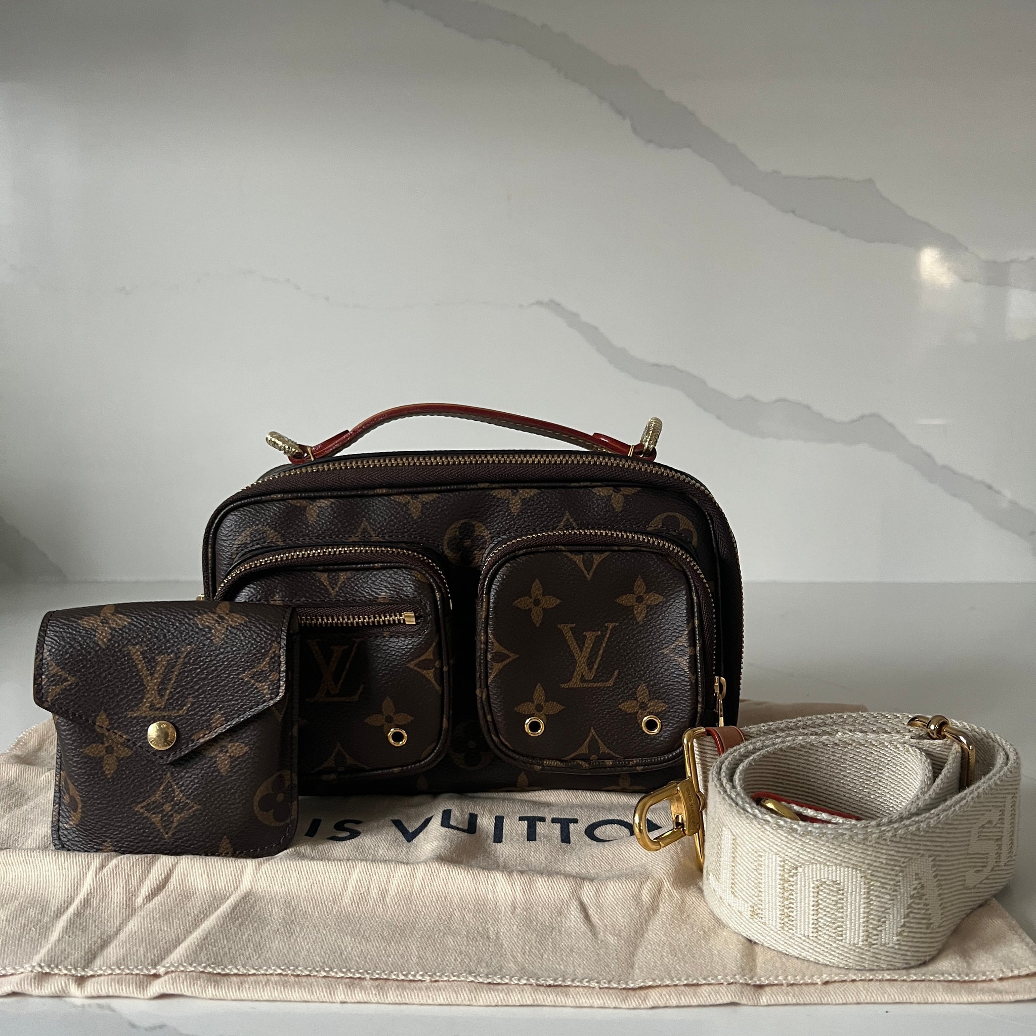 Louis Vuitton Utility Bag