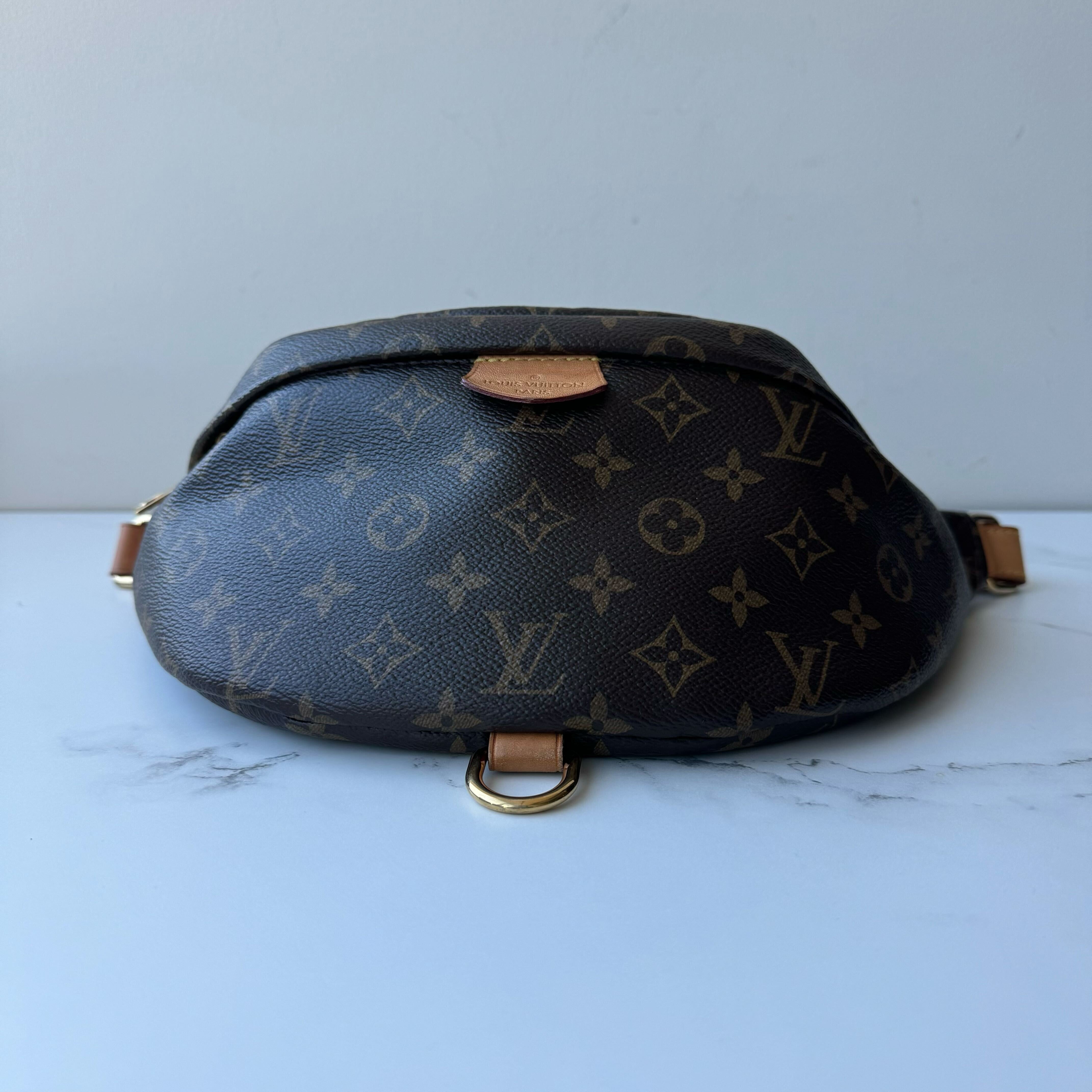 Louis Vuitton Bumbag