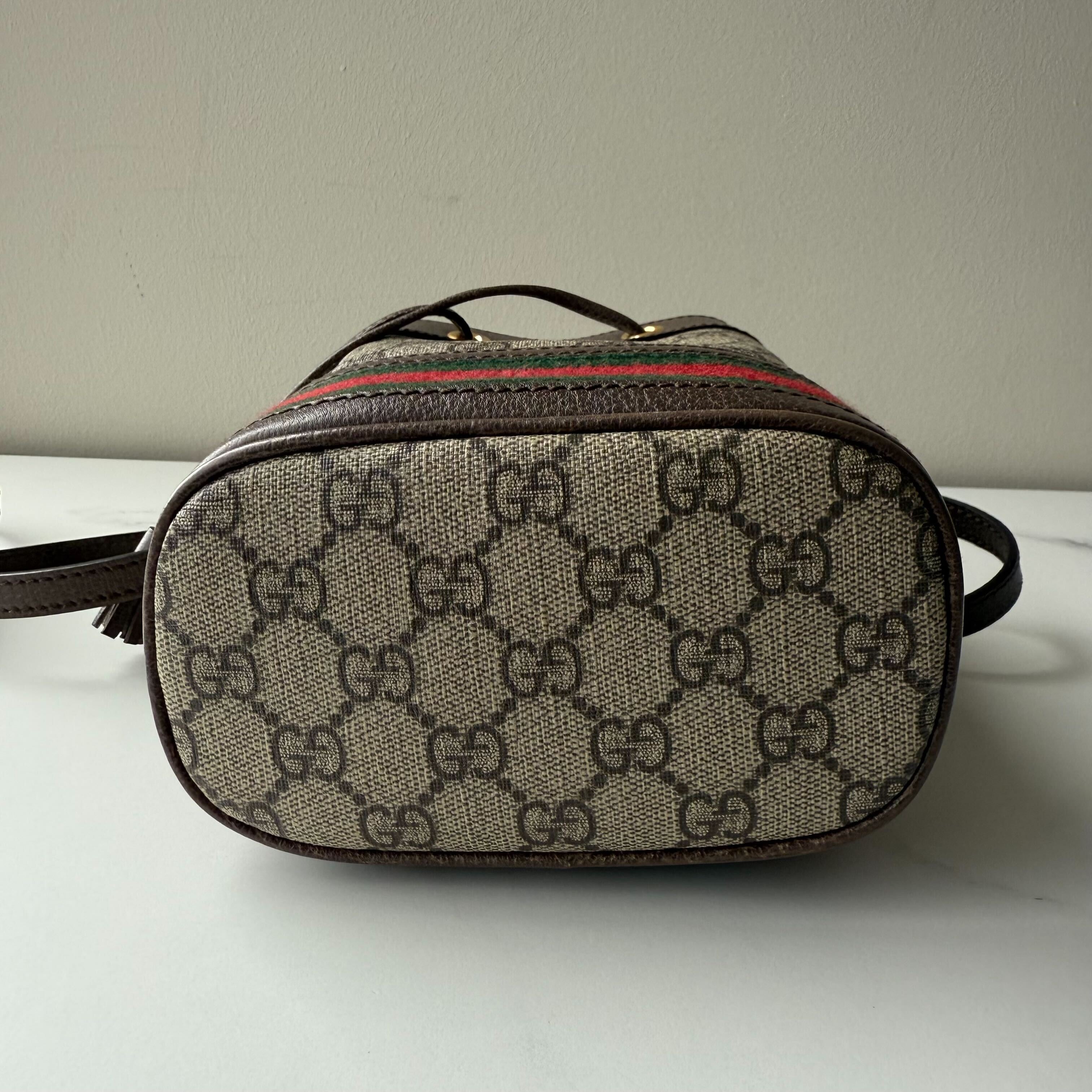 Gucci Ophidia Bucket Bag