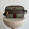 Gucci Ophidia Camera Bag