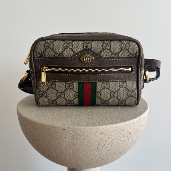 Gucci Ophidia Camera Bag