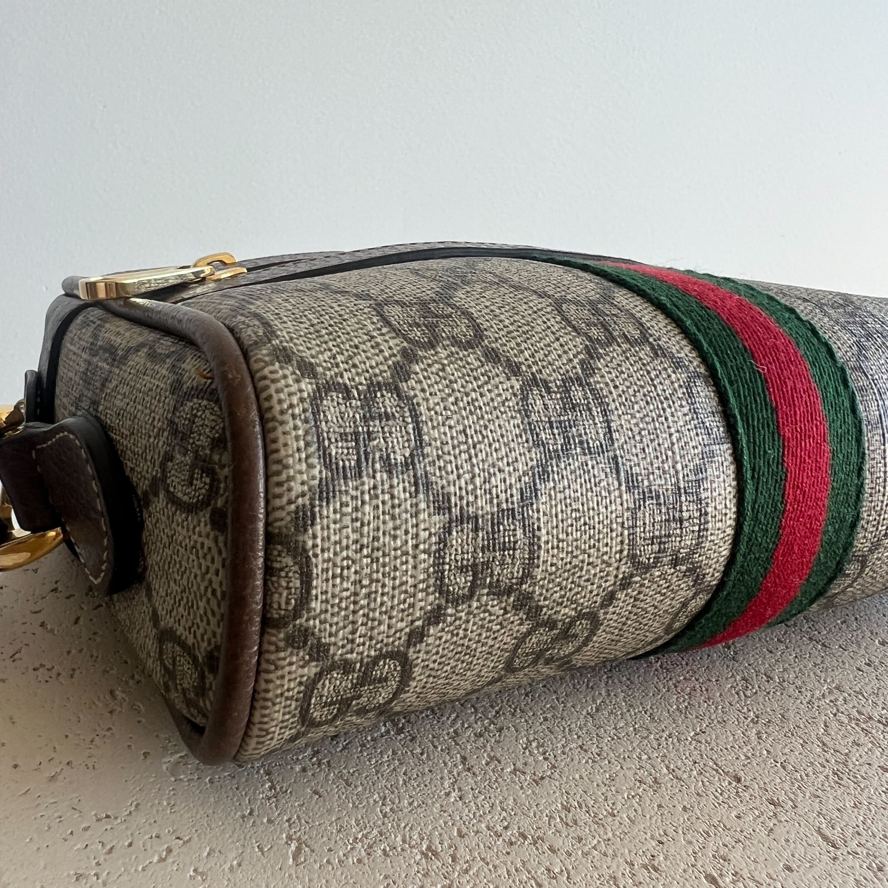 Gucci Ophidia Camera Bag