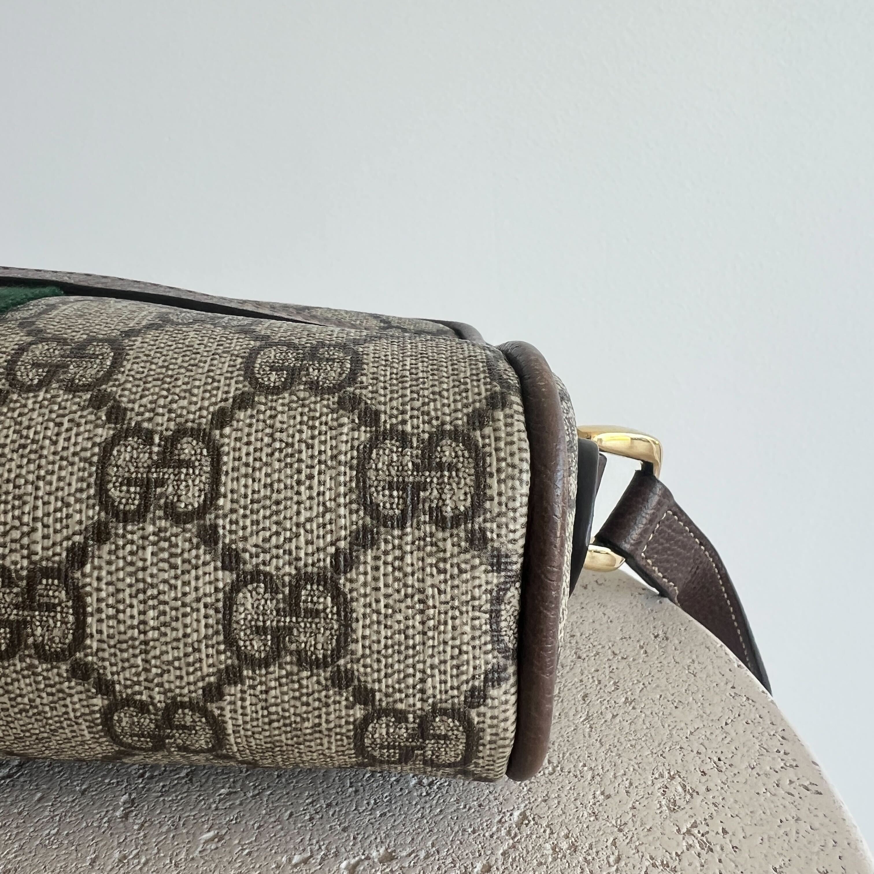 Gucci Ophidia Camera Bag